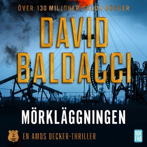 Mörkläggningen (ljudbok) av David Baldacci