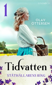 Ståthållarens ring: En släkthistoria (e-bok) av