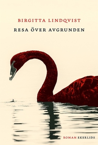 Resa över avgrunden (e-bok) av Birgitta Lindqvi