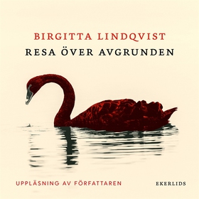 Resa över avgrunden (ljudbok) av Birgitta Lindq