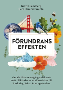 Förundranseffekten : Om allt ifrån solnedgångar