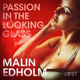 Passion in the Looking Glass - Erotic Short Sto
