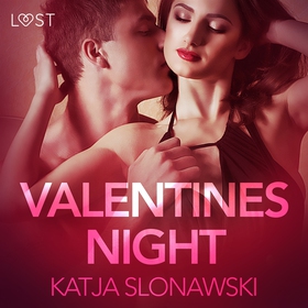 Valentine's Night - Erotic Short Story (ljudbok
