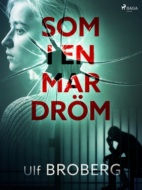 Som i en mardröm (e-bok) av Ulf Broberg