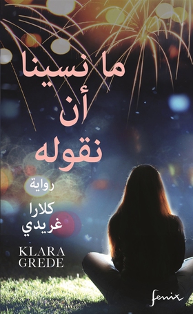 Det vi glömde säga (arabisk) (e-bok) av Klara G