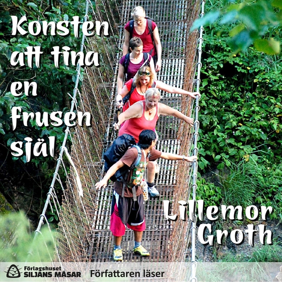 Konsten att tina en frusen själ