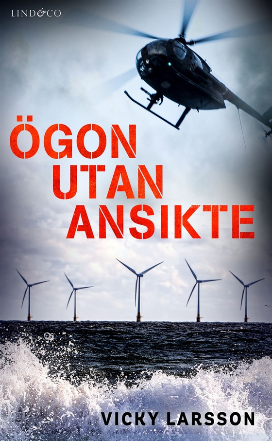 Ögon utan ansikte (e-bok) av Vicky Larsson