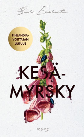 Kesämyrsky (e-bok) av Siiri Enoranta