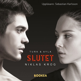 Turk & Ayla - Slutet (ljudbok) av Niklas Krog