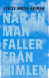När en man faller från himlen (e-bok) av Lesley