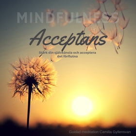 Acceptans (ljudbok) av Camilla Gyllensvan