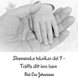 Shamanska tekniker del 9 (ljudbok) av Eva Johan