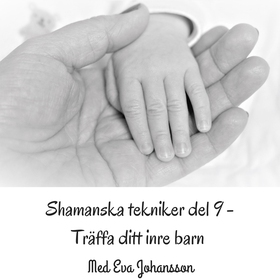 Shamanska tekniker del 9 (ljudbok) av Eva Johan