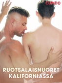 Ruotsalaisnuoret Kaliforniassa