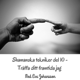 Shamanska tekniker del 10 (ljudbok) av Eva Joha