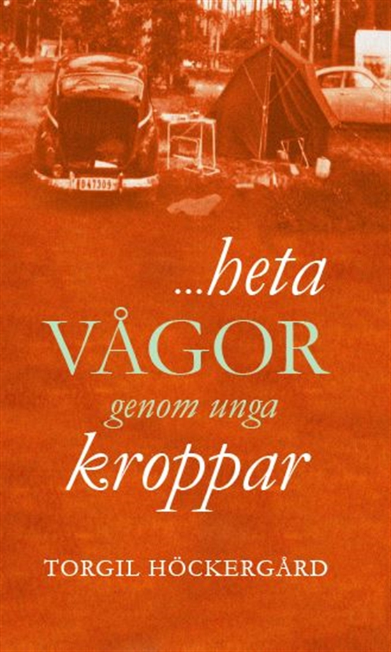 …heta vågor genom unga kroppar (e-bok) av Torgil Höckergård