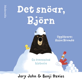 Det snöar, Björn (ljudbok) av Jory John