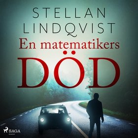 En matematikers död (ljudbok) av Stellan Lindqv