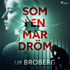 Som i en mardröm (ljudbok) av Ulf Broberg