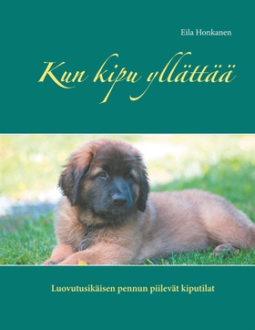Kun kipu yllättää (e-bok) av Eila Honkanen