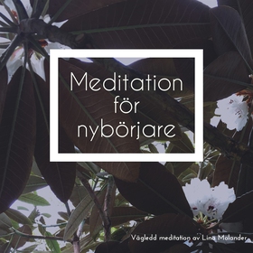 Meditation för nybörjare (ljudbok) av Lina Mola