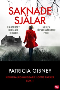 Saknade själar (e-bok) av Patricia Gibney