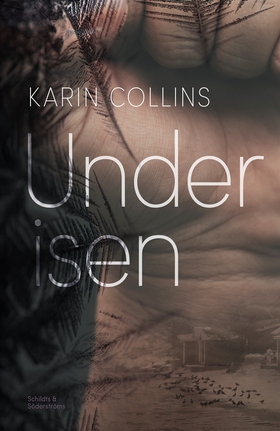 Under isen (e-bok) av Karin Collins