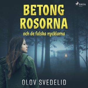 Betongrosorna och de falska nycklarna (ljudbok)