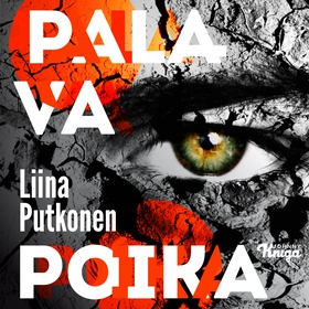 Palava poika (ljudbok) av Liina Putkonen