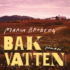 Bakvatten (ljudbok) av Maria Broberg