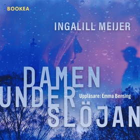 Damen under slöjan (ljudbok) av Ingalill Meijer