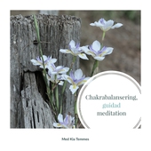 Chakrabalansering, en guidad meditation