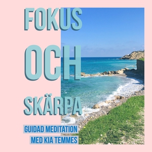 Fokus och Skärpa (ljudbok) av Kia Temmes