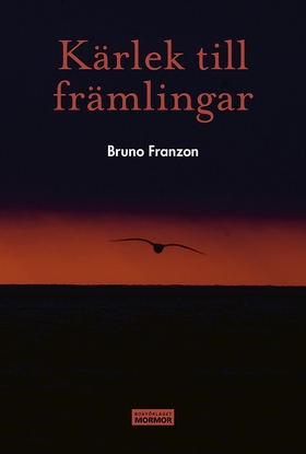 Kärlek till främlingar (e-bok) av Bruno Franzon