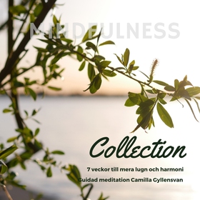 Mindfulness Collection - 7 veckor till mer lugn