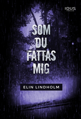 Som du fattas mig (e-bok) av Elin Lindholm