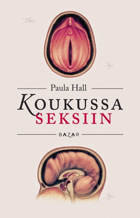 Koukussa seksiin (e-bok) av Paula Hall