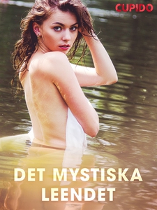 Det mystiska leendet (e-bok) av Cupido