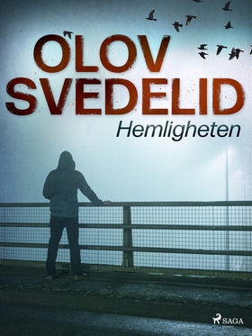 Hemligheten (e-bok) av Olov Svedelid