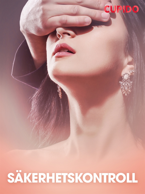 Säkerhetskontroll (e-bok) av Cupido