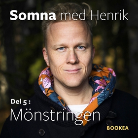 Mönstringen (ljudbok) av Henrik Ståhl