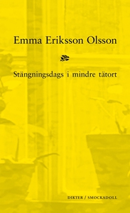 Stängningsdags i mindre tätort (e-bok) av Emma