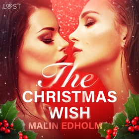 The Christmas Wish - Erotic Short Storyq (ljudb