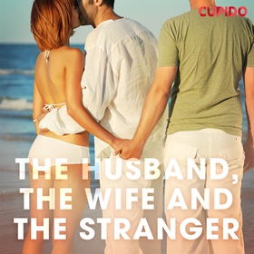 The Husband, the Wife and the Stranger (ljudbok