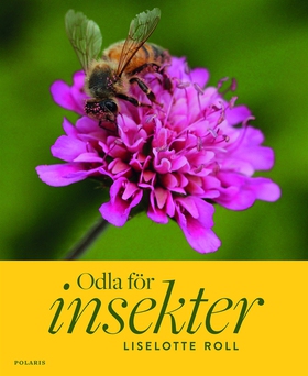 Odla för insekter (e-bok) av Liselotte Roll