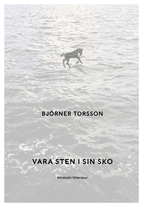 Vara sten i sin sko (e-bok) av Björner Torsson