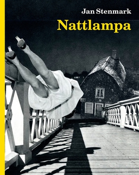 Nattlampa (e-bok) av Jan Stenmark