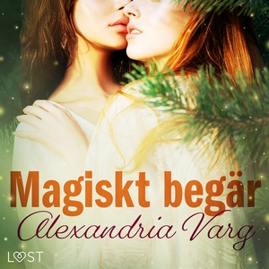 Magiskt begär - erotisk novell (ljudbok) av Ale