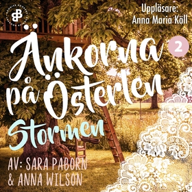 Änkorna på Österlen. Stormen (ljudbok) av Sara 