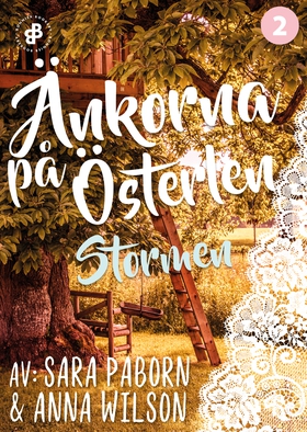 Änkorna på Österlen. Stormen (e-bok) av Sara Pa